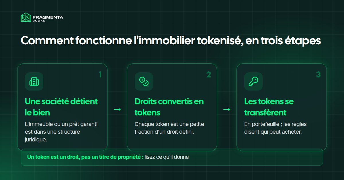 Immobilier tokenisé : le bien, la société, les tokens et leurs détenteurs