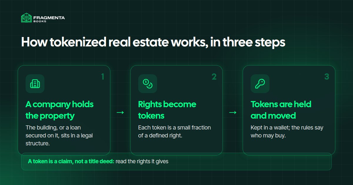 Real estate tokenization: property, company, tokens and holders